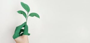 sustentabilidade empresarial portugal
