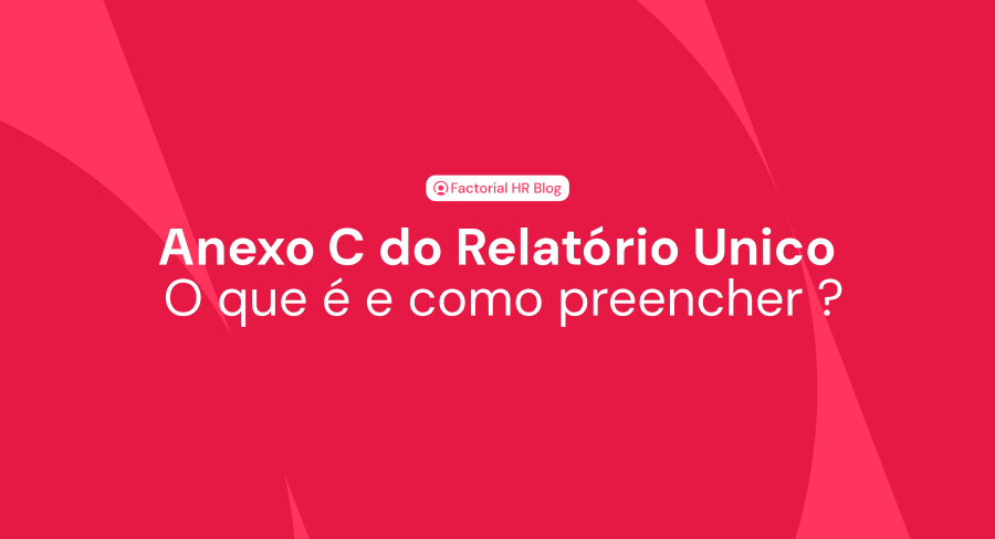 Anexo C do Relatório Unico: O que é e como preencher ?