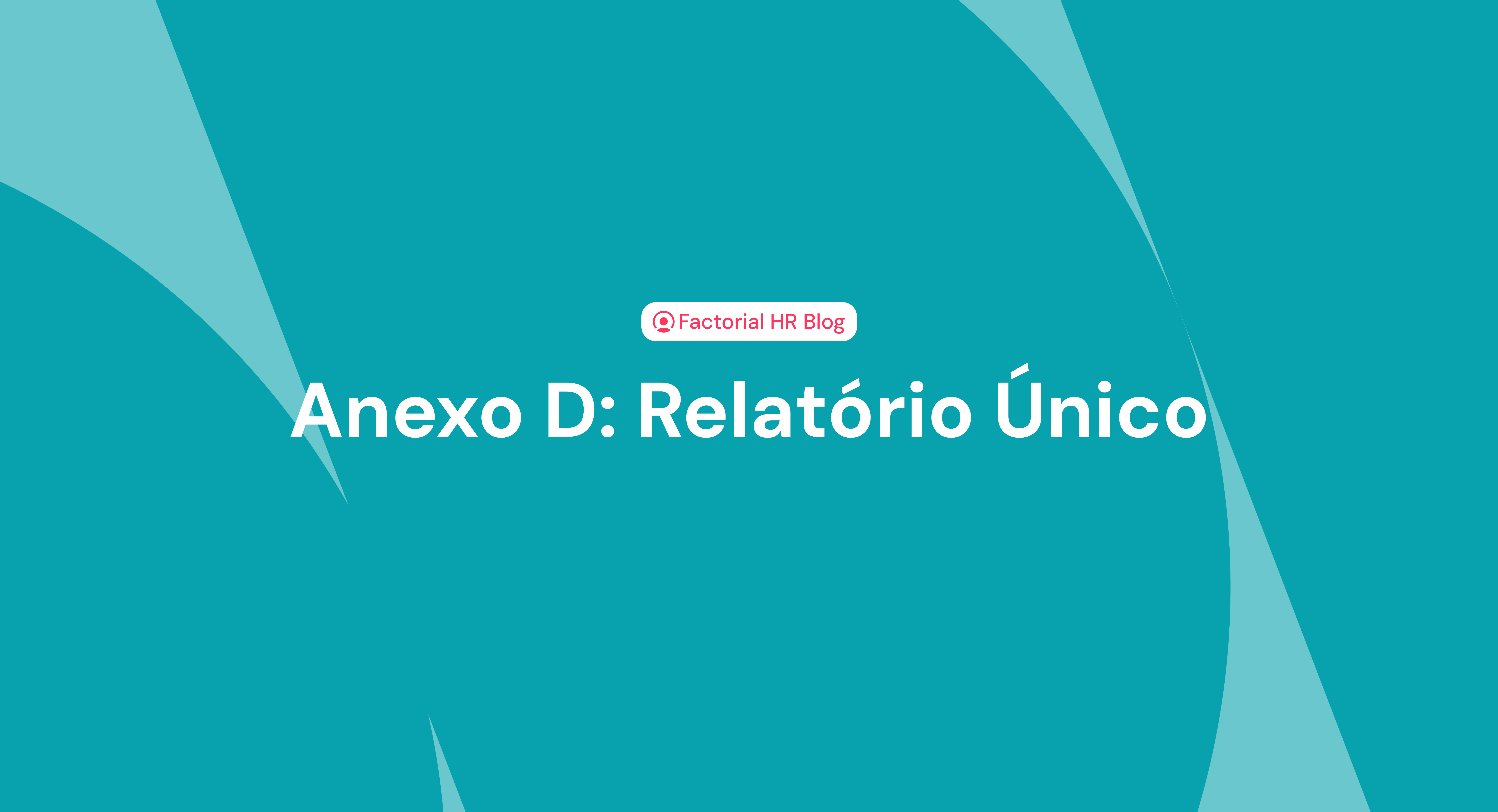 Anexo D do Relatório Único